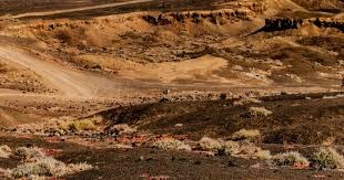 范戴克：批评？这是现代足球一部分；很自豪能带领荷兰这么久